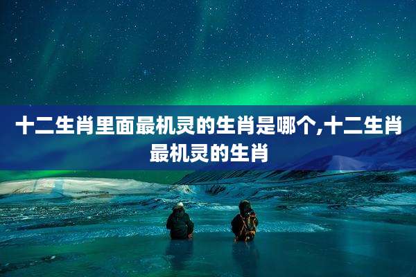 十二生肖里面最机灵的生肖是哪个,十二生肖最机灵的生肖