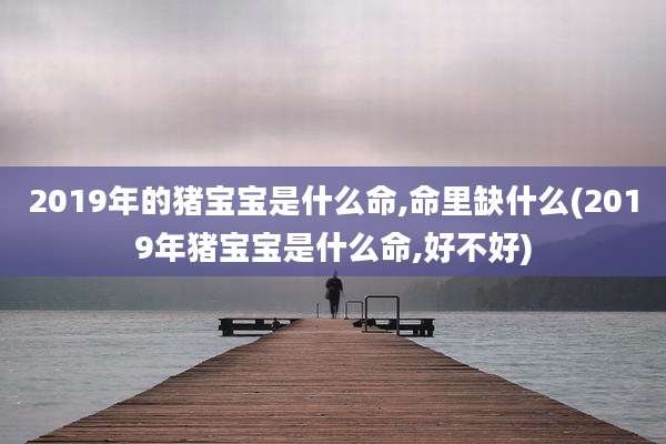 2019年的猪宝宝是什么命,命里缺什么(2019年猪宝宝是什么命,好不好)