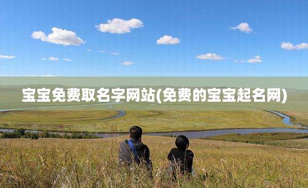宝宝免费取名字网站(免费的宝宝起名网)