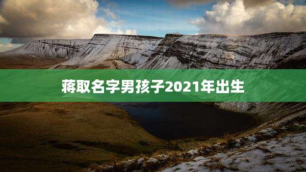 蒋取名字男孩子2021年出生