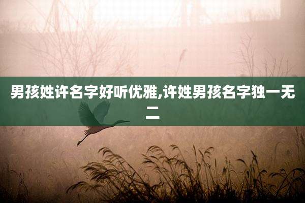 男孩姓许名字好听优雅,许姓男孩名字独一无二