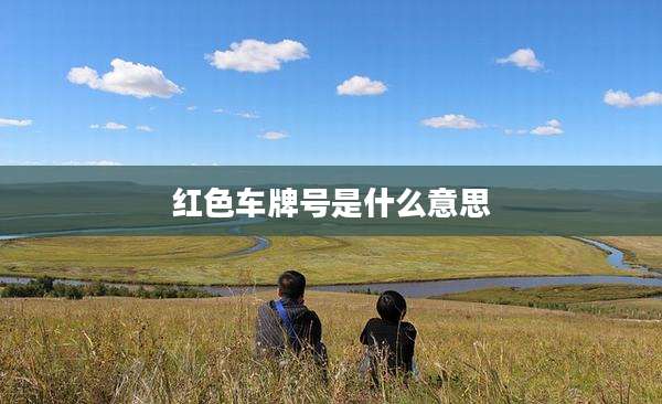 红色车牌号是什么意思