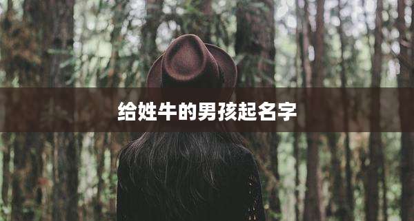 给姓牛的男孩起名字