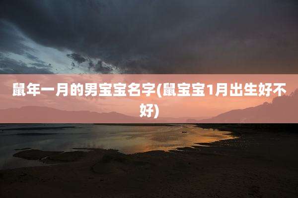 鼠年一月的男宝宝名字(鼠宝宝1月出生好不好)
