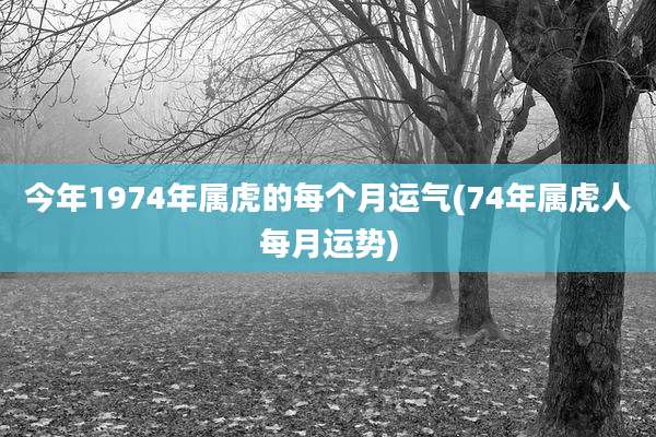 今年1974年属虎的每个月运气(74年属虎人每月运势)
