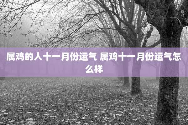 属鸡的人十一月份运气 属鸡十一月份运气怎么样