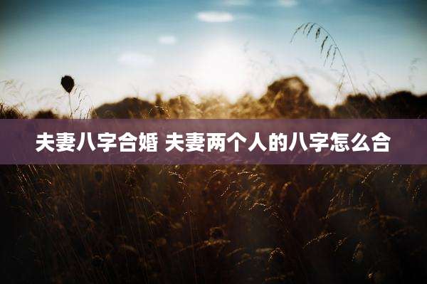 夫妻八字合婚 夫妻两个人的八字怎么合