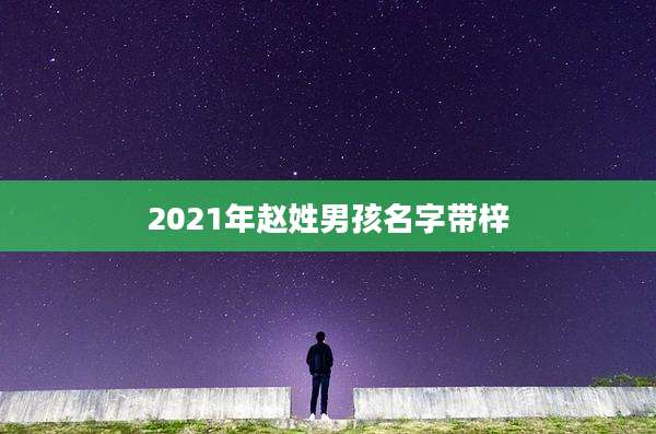 2021年赵姓男孩名字带梓
