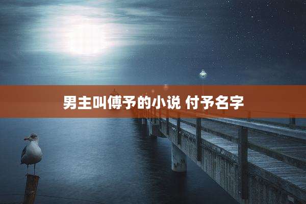 男主叫傅予的小说 付予名字
