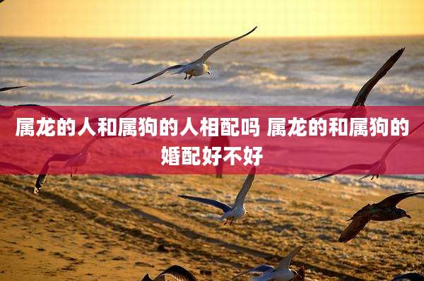 属龙的人和属狗的人相配吗 属龙的和属狗的婚配好不好
