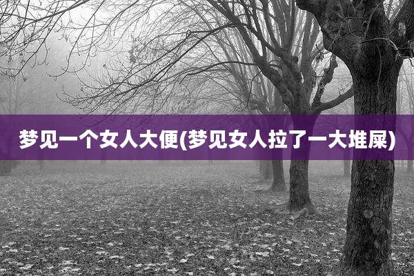 梦见一个女人大便(梦见女人拉了一大堆屎)