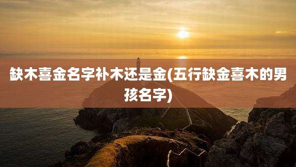 缺木喜金名字补木还是金(五行缺金喜木的男孩名字)