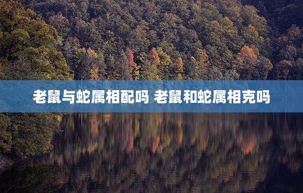老鼠与蛇属相配吗 老鼠和蛇属相克吗