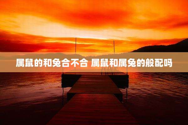属鼠的和兔合不合 属鼠和属兔的般配吗