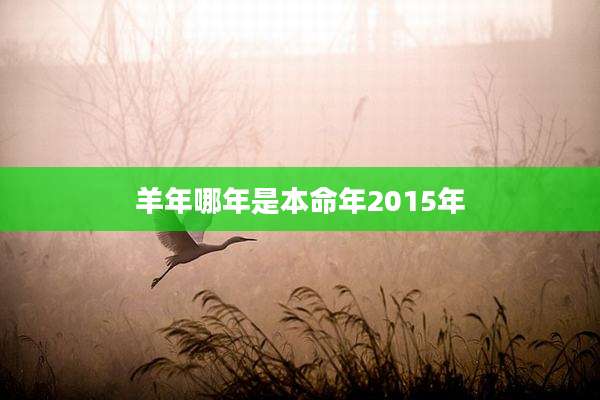 羊年哪年是本命年2015年