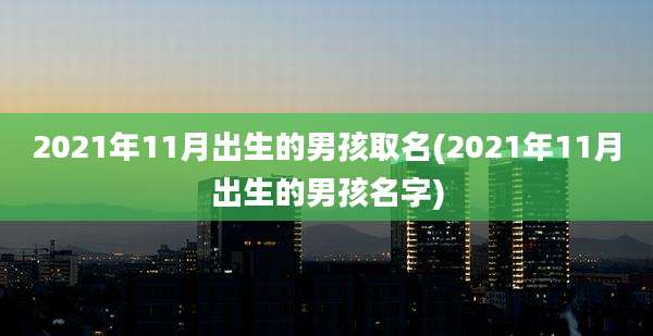 2021年11月出生的男孩取名(2021年11月出生的男孩名字)