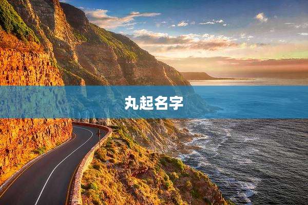 丸起名字