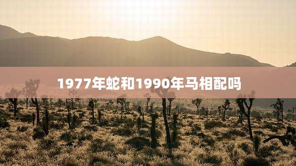 1977年蛇和1990年马相配吗