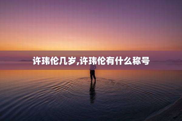许玮伦几岁,许玮伦有什么称号