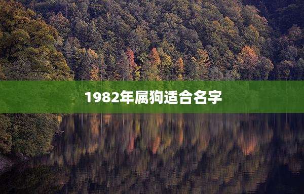 1982年属狗适合名字