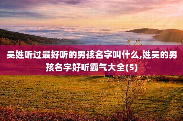吴姓听过最好听的男孩名字叫什么,姓吴的男孩名字好听霸气大全(5)