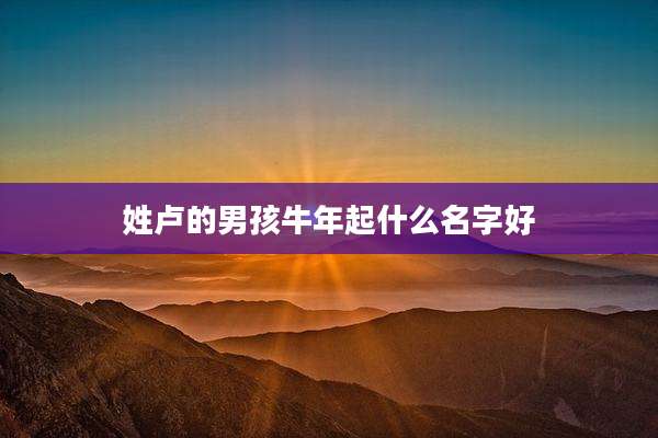 姓卢的男孩牛年起什么名字好