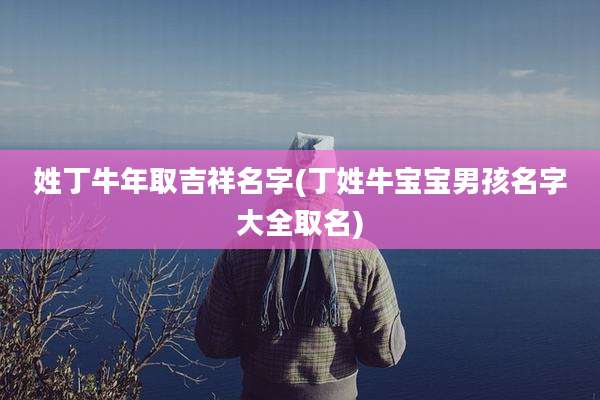 姓丁牛年取吉祥名字(丁姓牛宝宝男孩名字大全取名)