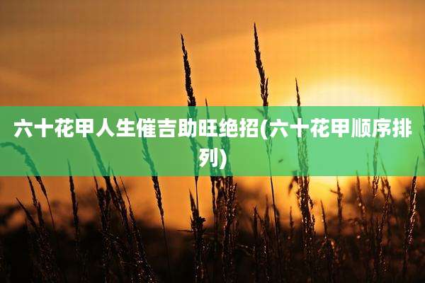 六十花甲人生催吉助旺绝招(六十花甲顺序排列)