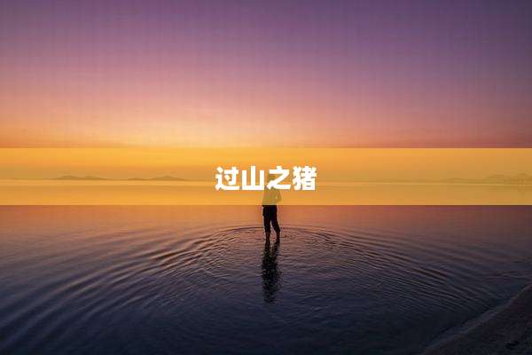 过山之猪