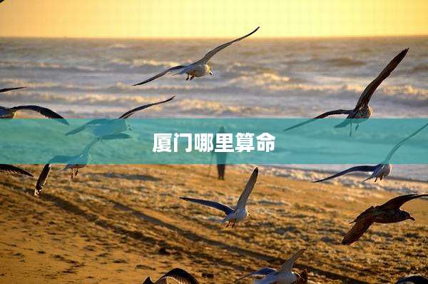 厦门哪里算命