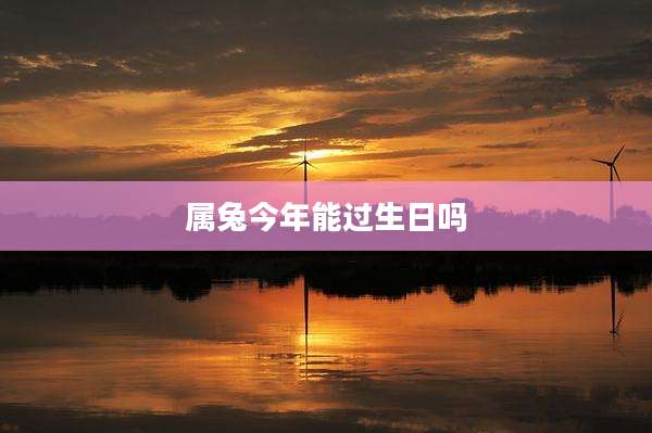 属兔今年能过生日吗