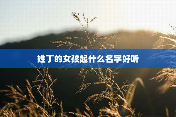 姓丁的女孩起什么名字好听
