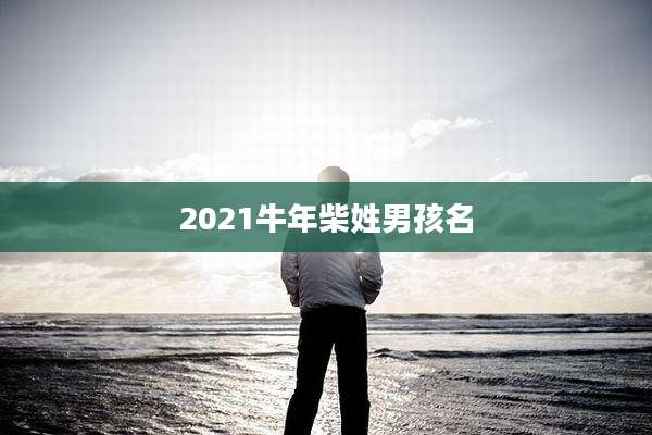2021牛年柴姓男孩名