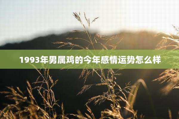 1993年男属鸡的今年感情运势怎么样