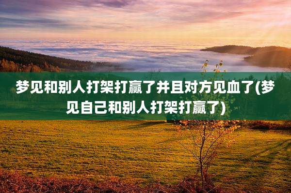 梦见和别人打架打赢了并且对方见血了(梦见自己和别人打架打赢了)