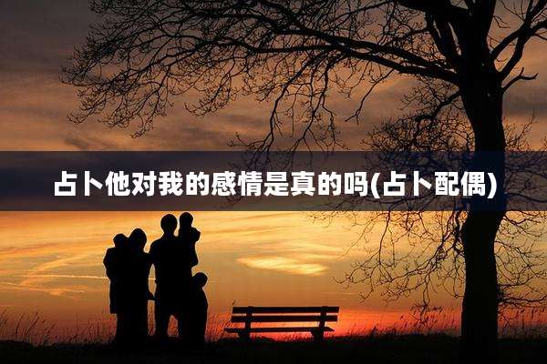 占卜他对我的感情是真的吗(占卜配偶)