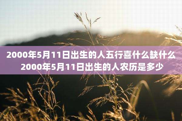2000年5月11日出生的人五行喜什么缺什么 2000年5月11日出生的人农历是多少