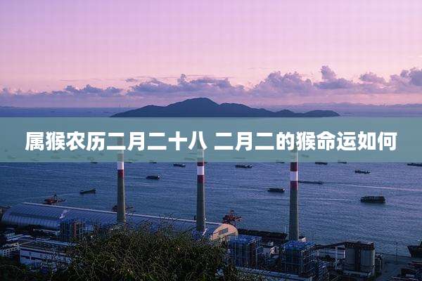 属猴农历二月二十八 二月二的猴命运如何
