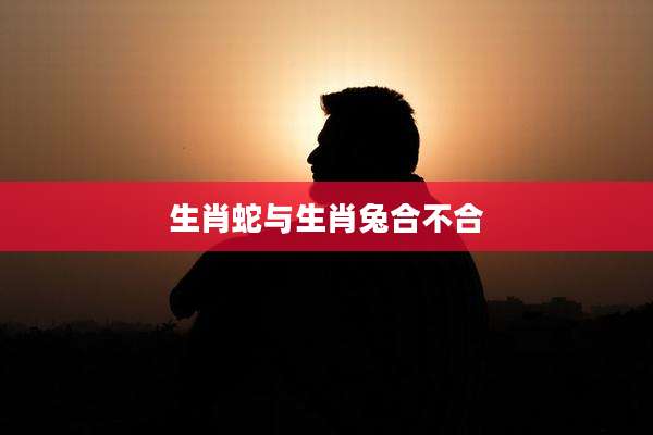 生肖蛇与生肖兔合不合