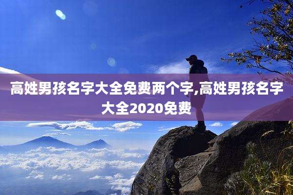 高姓男孩名字大全免费两个字,高姓男孩名字大全2020免费
