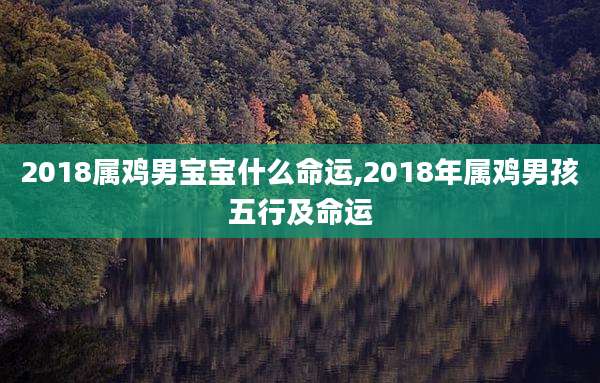 2018属鸡男宝宝什么命运,2018年属鸡男孩五行及命运
