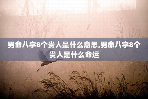 男命八字8个贵人是什么意思,男命八字8个贵人是什么命运