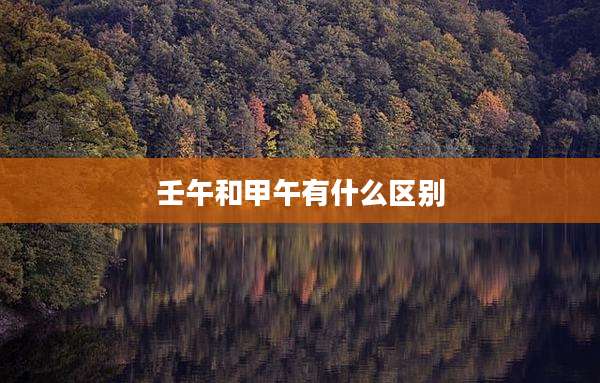 壬午和甲午有什么区别
