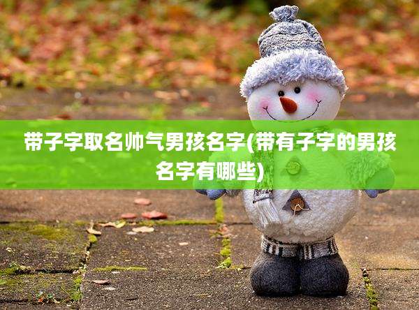 带子字取名帅气男孩名字(带有子字的男孩名字有哪些)