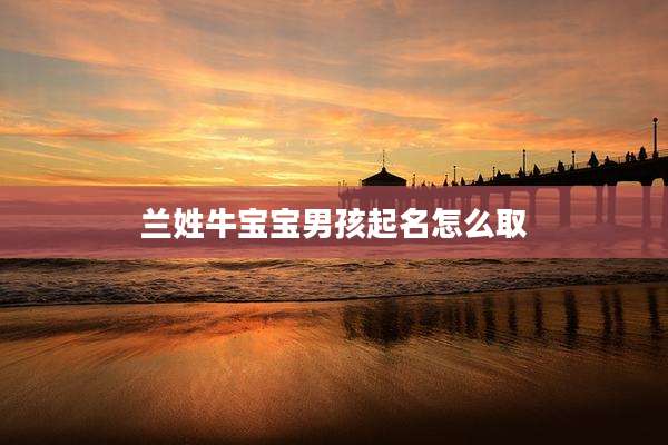 兰姓牛宝宝男孩起名怎么取