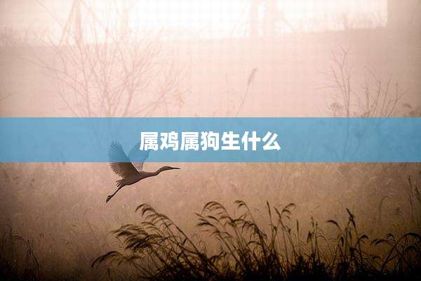 属鸡属狗生什么