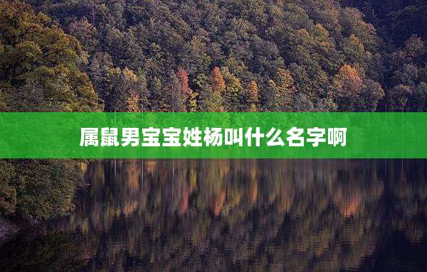 属鼠男宝宝姓杨叫什么名字啊