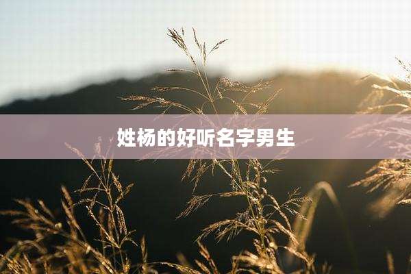 姓杨的好听名字男生