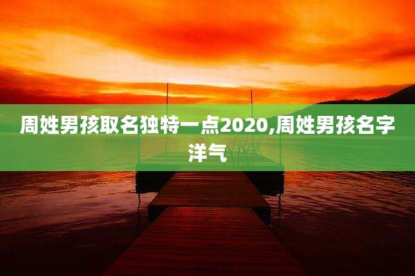 周姓男孩取名独特一点2020,周姓男孩名字洋气