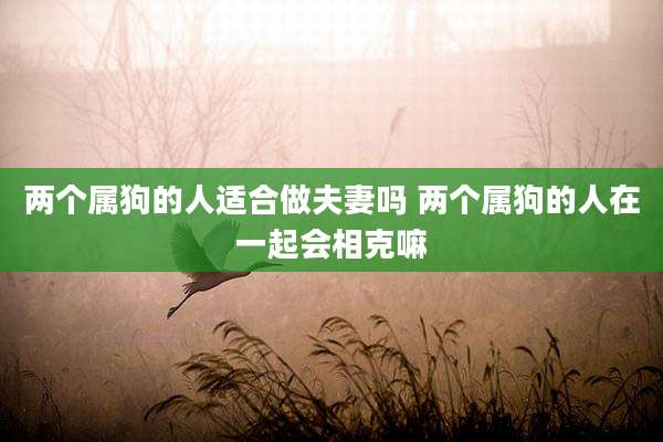 两个属狗的人适合做夫妻吗 两个属狗的人在一起会相克嘛